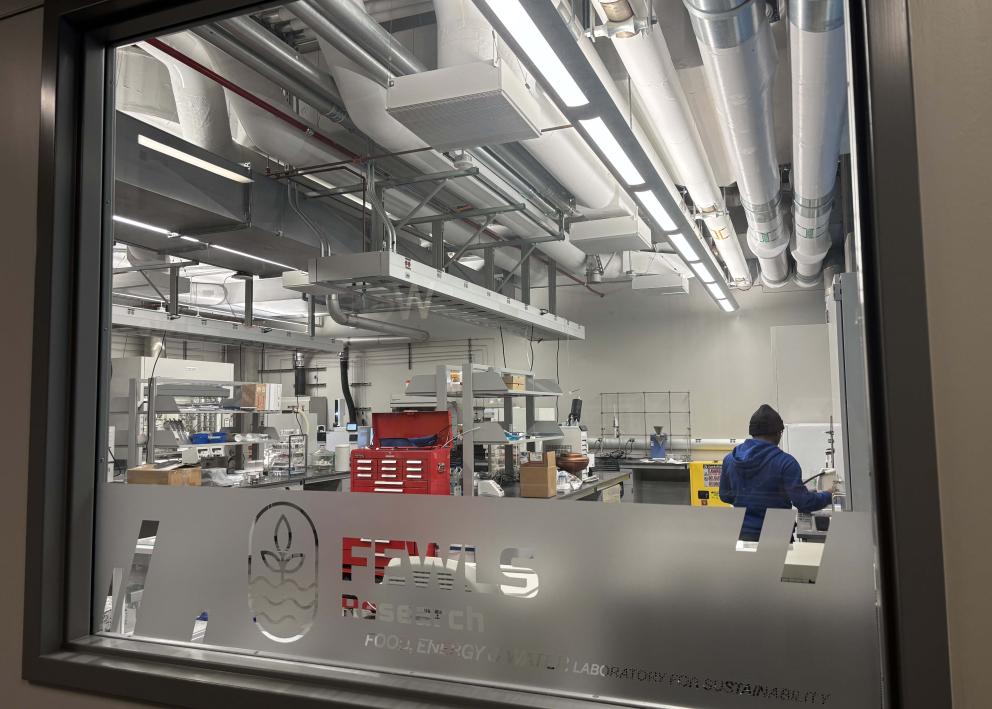 A person working in a lab on the other side of a window