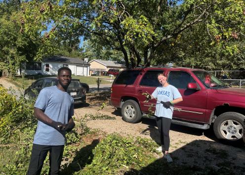two people removing leaves from branches
